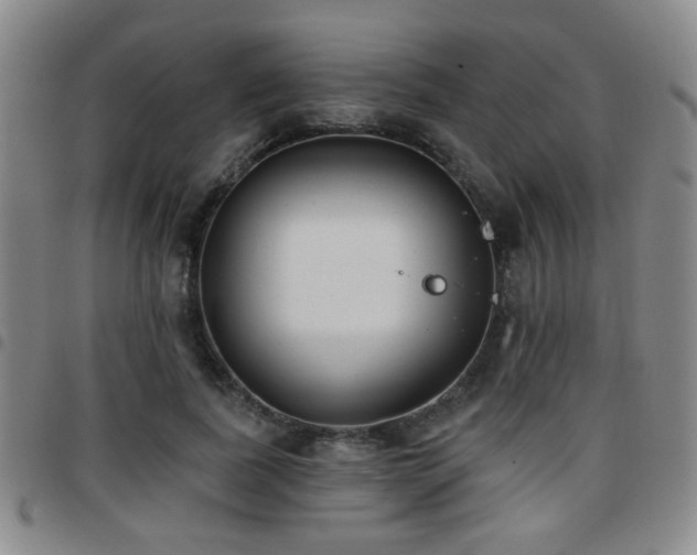 X0000097810739200803141118