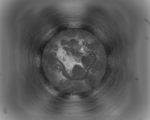 X0000097810741200803141118