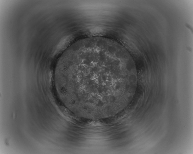 X0000097810742200803141118