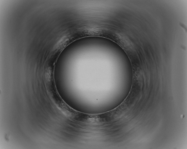 X0000097810744200803141118