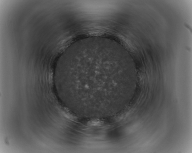 X0000097810745200803141118