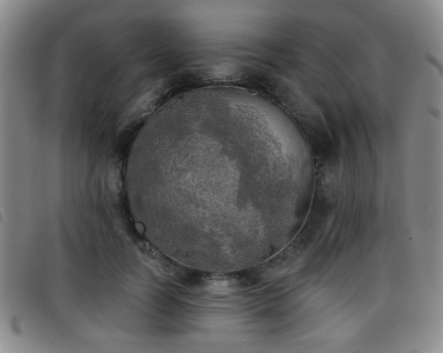 X0000097810746200803141118