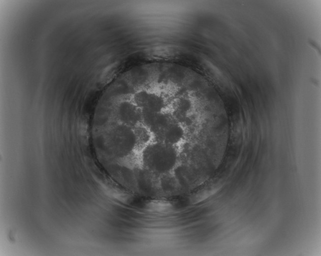 X0000097810749200803141118
