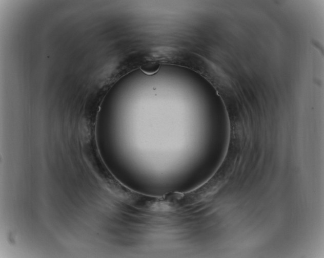 X0000097810751200803141118