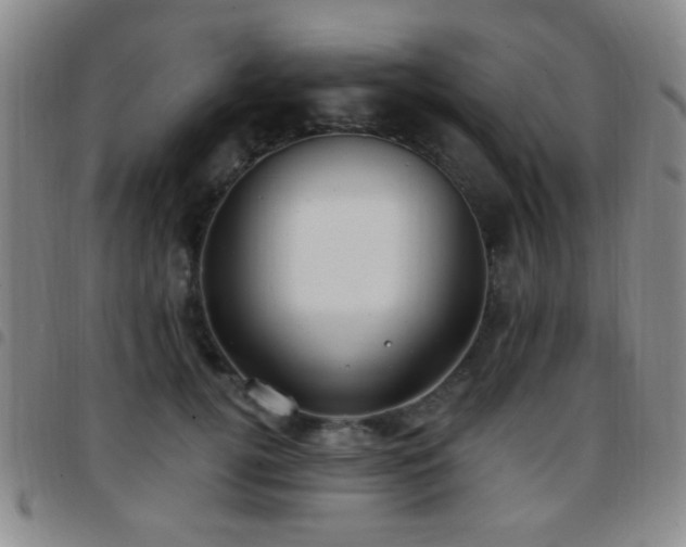 X0000097810752200803141118