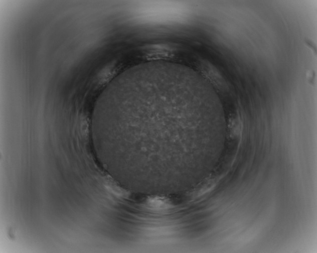 X0000097810753200803141118