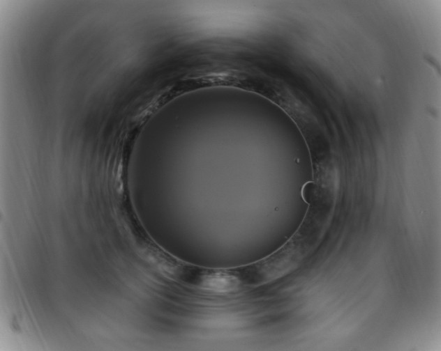 X0000097810754200803141118