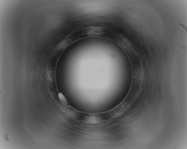X0000097810755200803141118