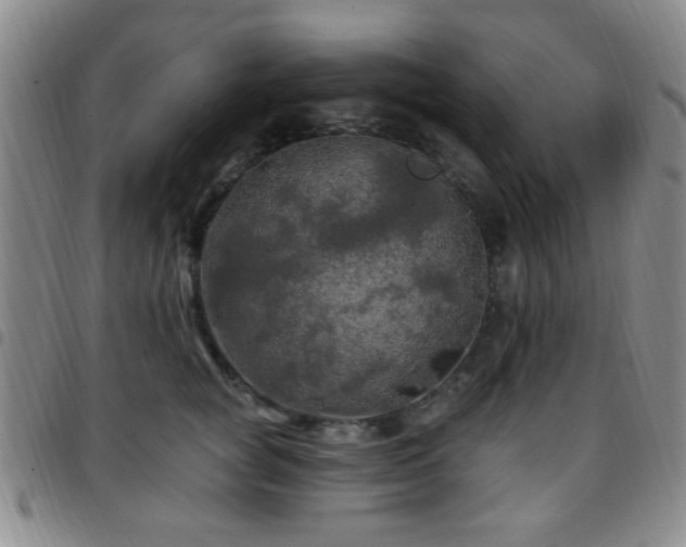 X0000097810757200803141118