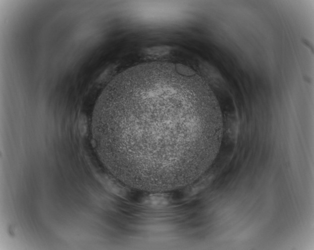 X0000097810758200803141118
