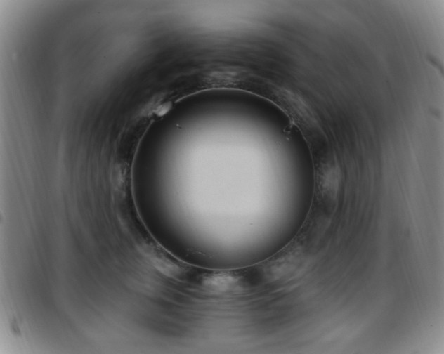 X0000097810759200803141118