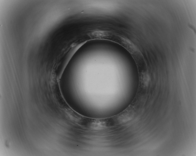 X0000097810760200803141118