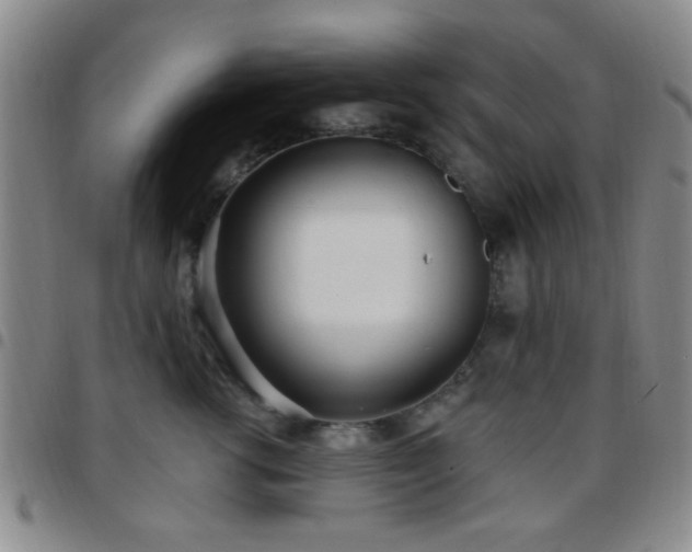 X0000097810762200803141118