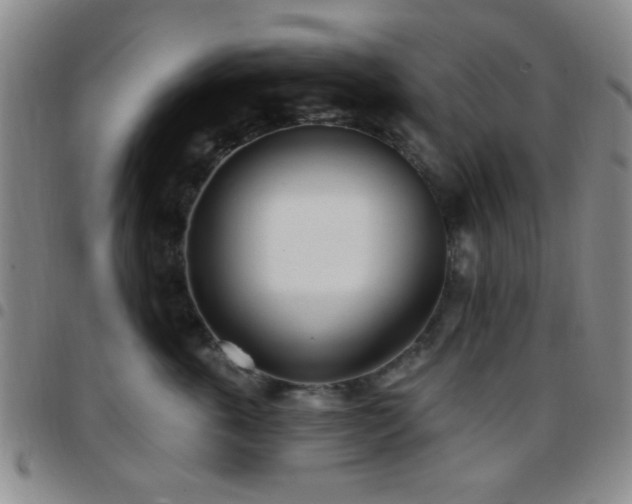X0000097810763200803141118