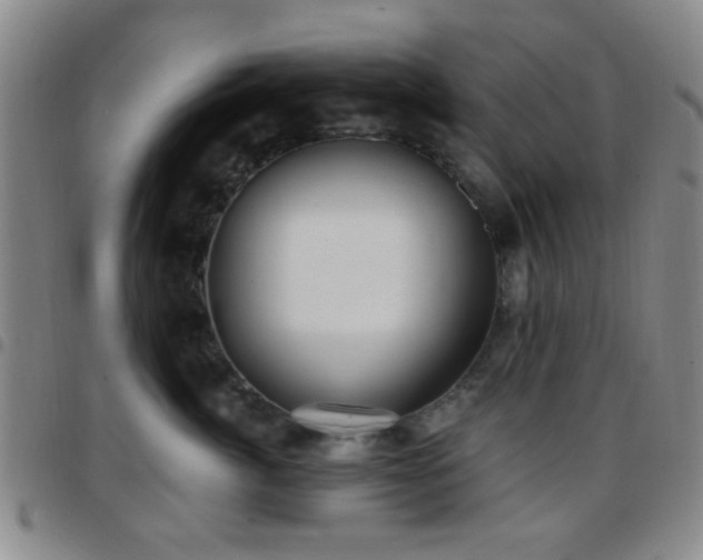 X0000097810764200803141118