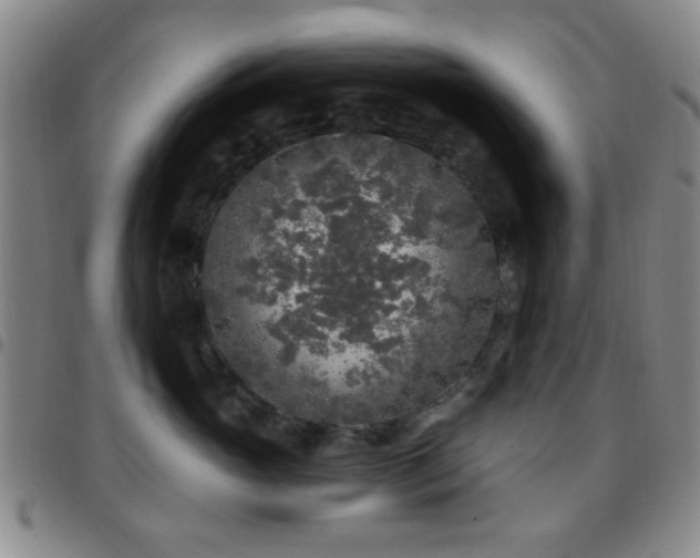 X0000097810765200803141118