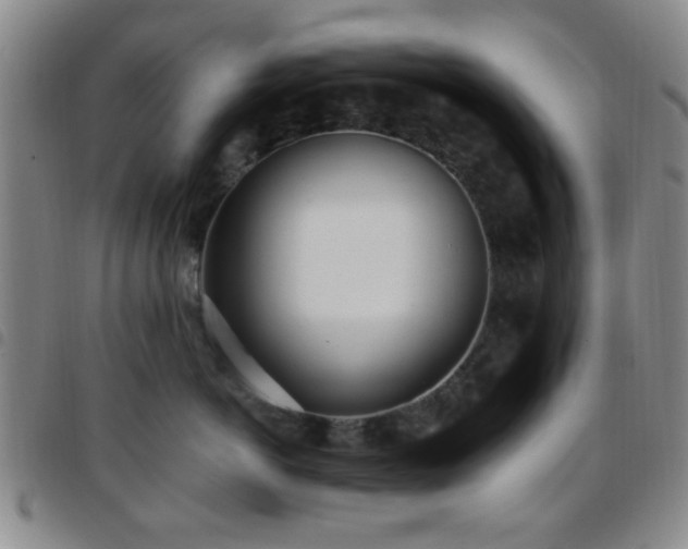 X0000097810766200803141118