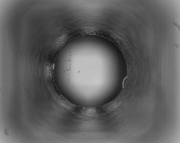 X0000097810768200803141118