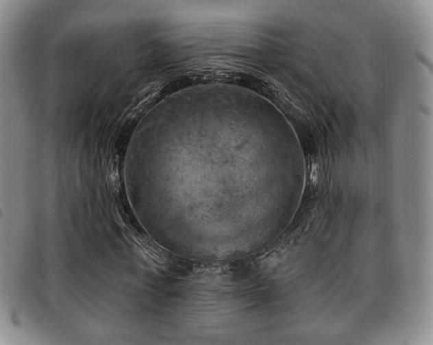 X0000097810771200803141118