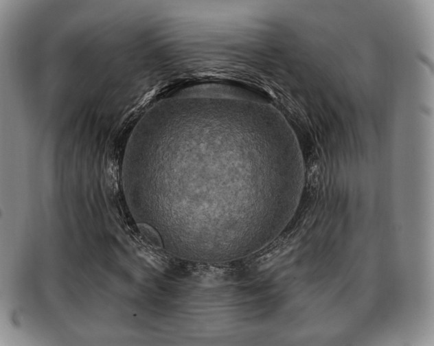 X0000097810772200803141118