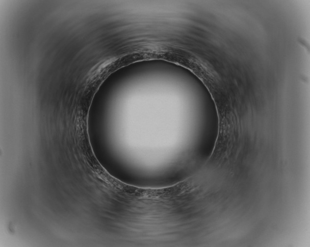 X0000097810773200803141118