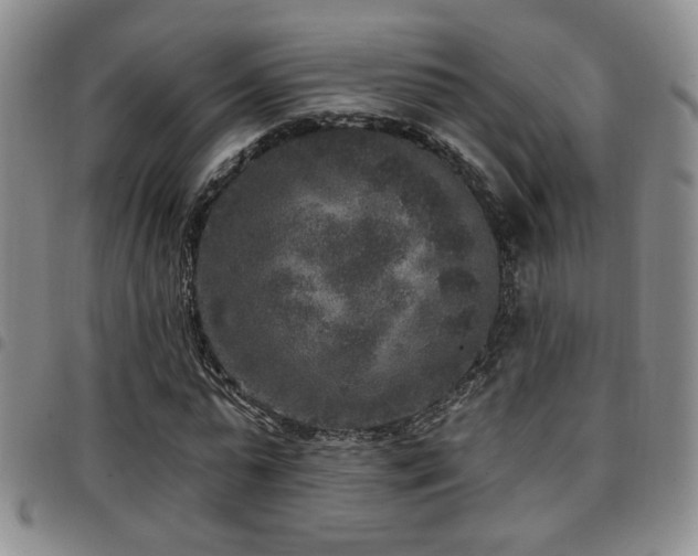 X0000097810775200803141118