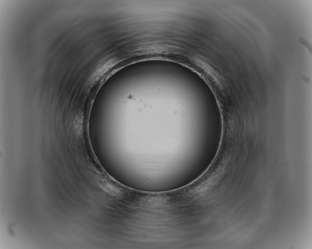X0000097810778200803141118