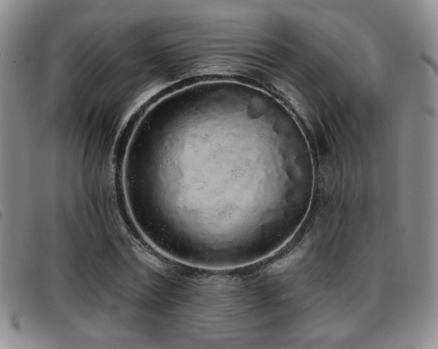 X0000097810779200803141118