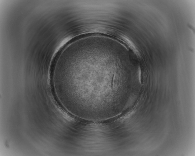 X0000097810780200803141118