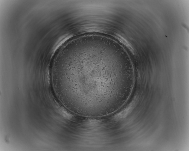 X0000097810782200803141118