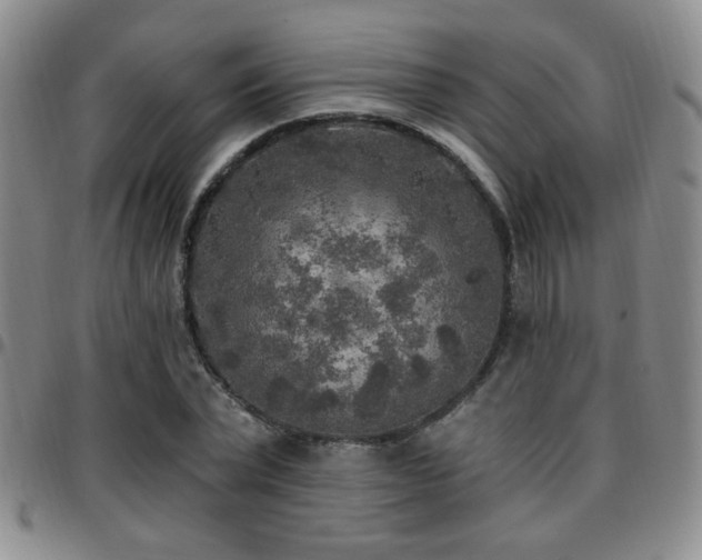 X0000097810783200803141118
