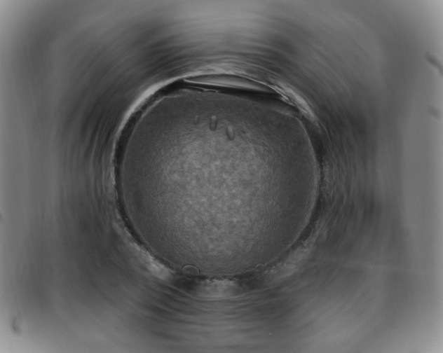 X0000097810784200803141118
