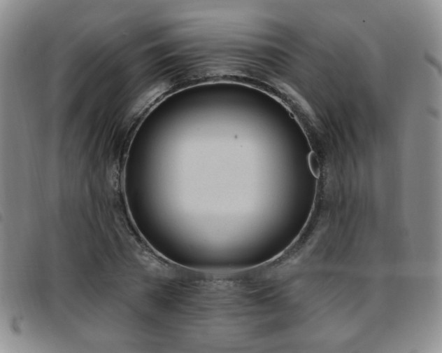 X0000097810785200803141118