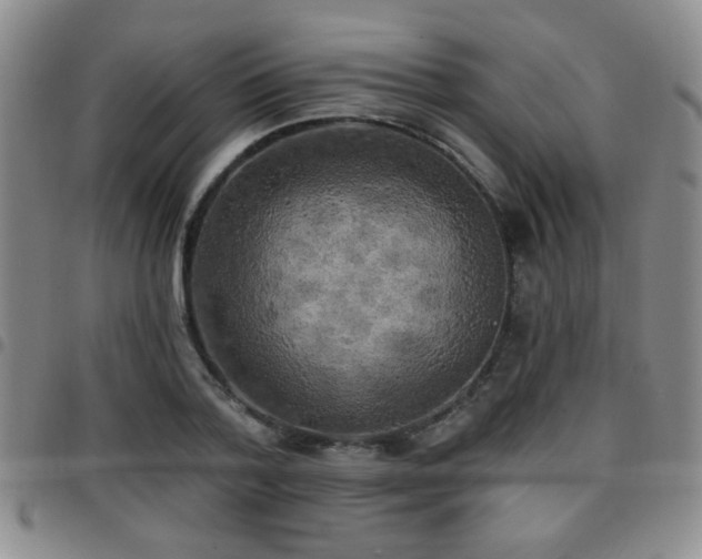 X0000097810788200803141118