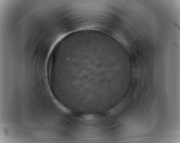 X0000097810792200803141118