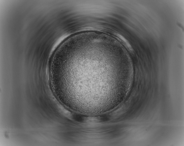 X0000097810796200803141117