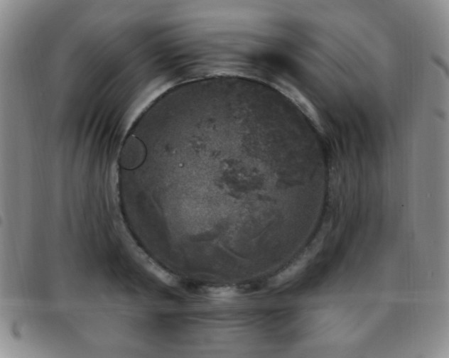 X0000097810798200803141117