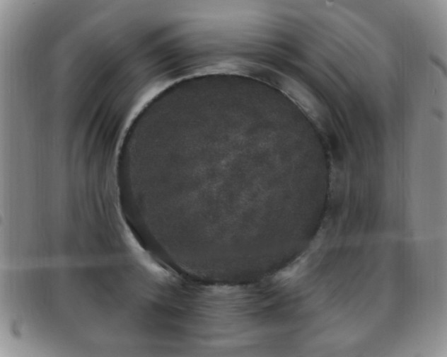 X0000097810800200803141117