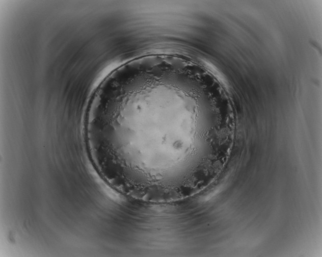 X0000097810803200803141117
