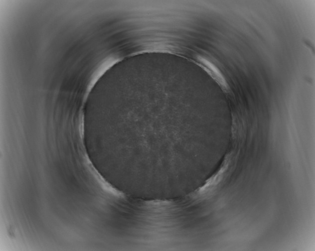 X0000097810804200803141117