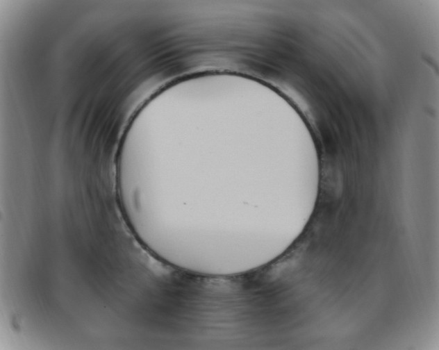 X0000097810807200803141117
