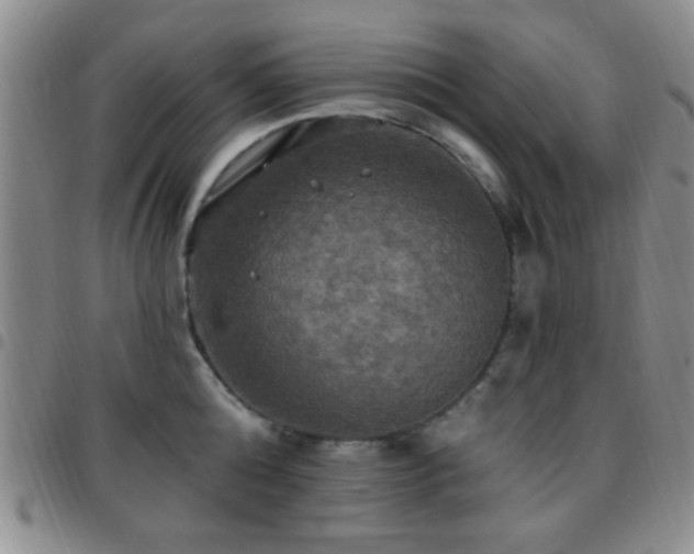 X0000097810808200803141117