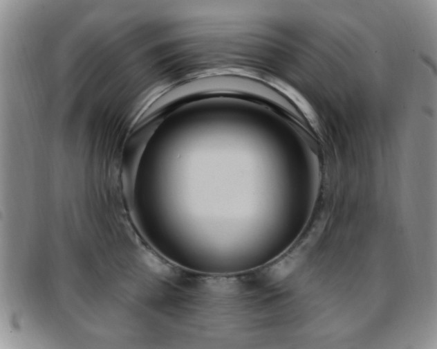X0000097810809200803141117