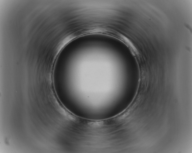 X0000097810810200803141117