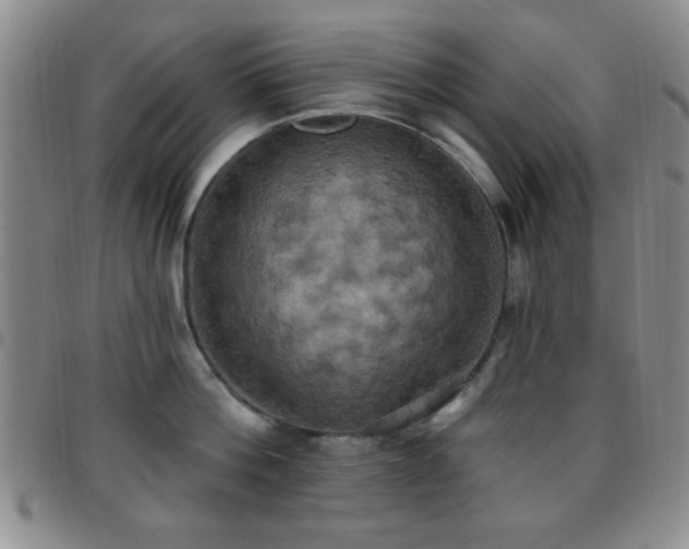 X0000097810812200803141117