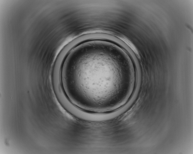 X0000097810813200803141117