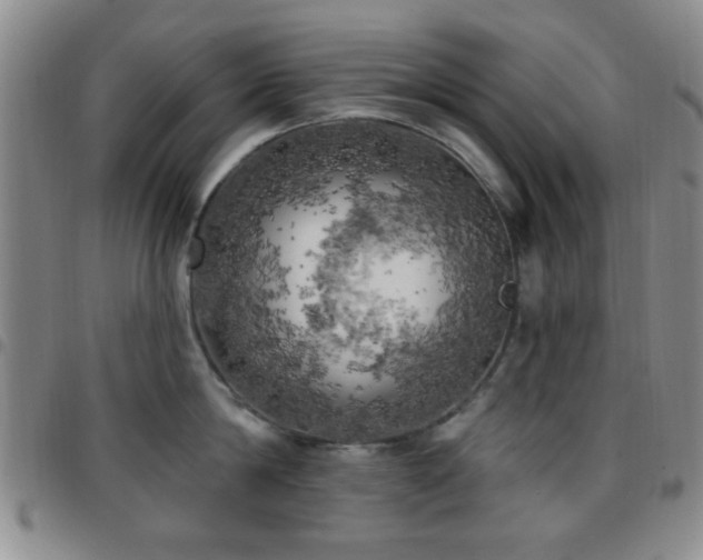 X0000097810814200803141117