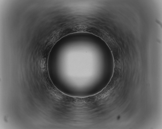 X0000097810818200803141117