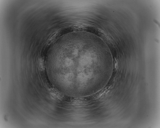 X0000097810819200803141117