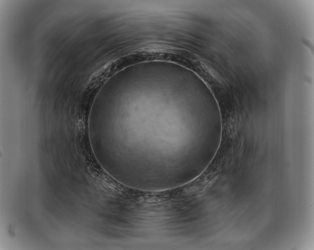 X0000097810821200803141117